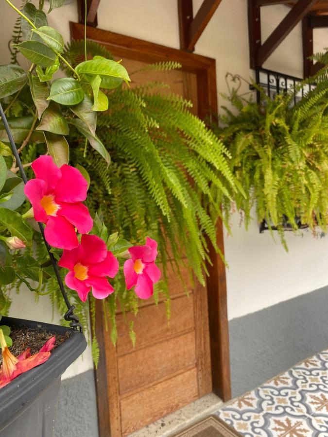 Estudio Completo No Centro De Domingos Martins Ao Lado Da Rua Do Lazer! Apartment Ngoại thất bức ảnh